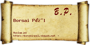 Borsai Pál névjegykártya